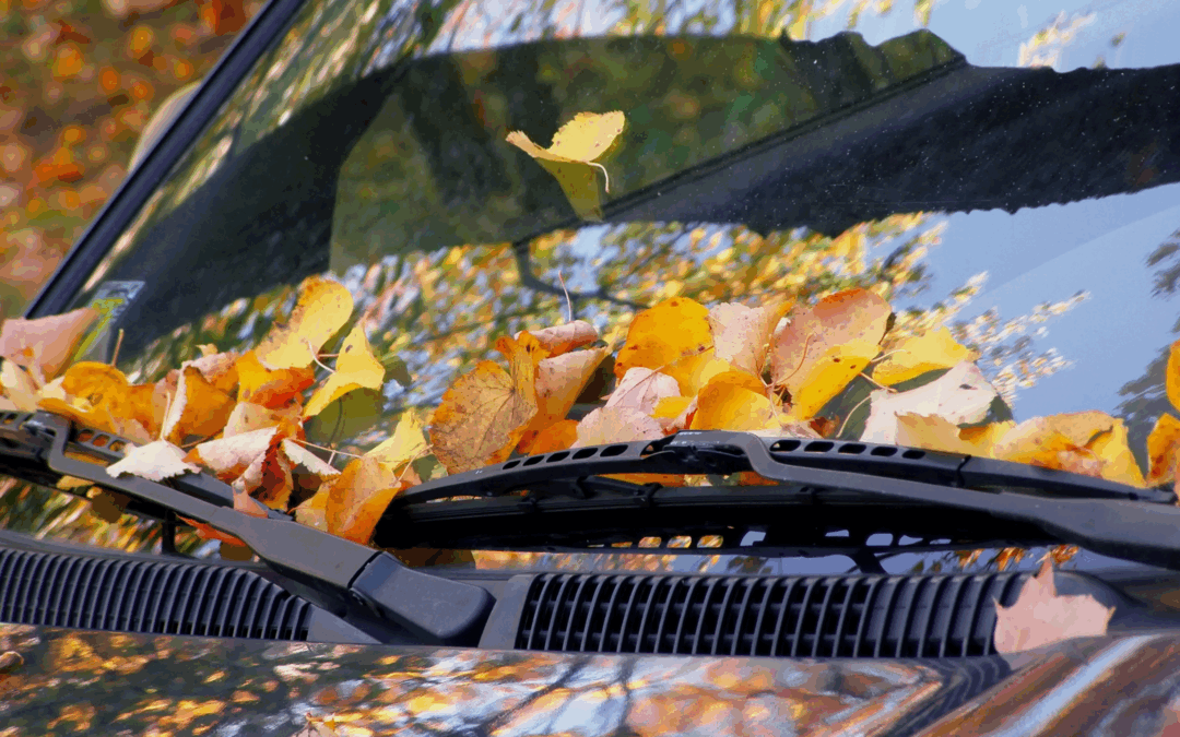 Why Fall is the Perfect Time to Start a Car Wash Membership
