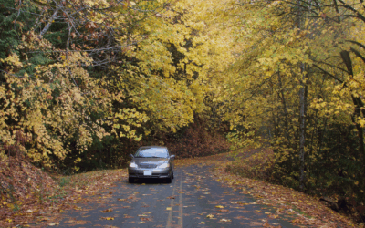 Fall Allergies? Don’t Let Your Car Make It Worse