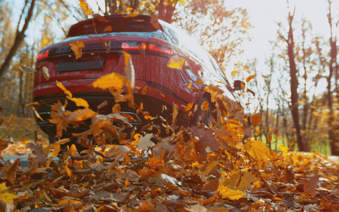 Fall Cleanup Isn’t Just for Yards: Clear Away Autumn’s Buildup on Your Vehicle
