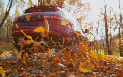Fall Cleanup Isn’t Just for Yards: Clear Away Autumn’s Buildup on Your Vehicle