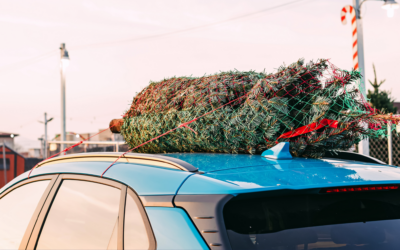 Keep the Holiday Spirit, Not the Grime