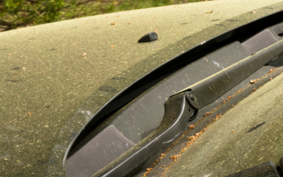 Pollen Season Is Here: How to Protect Your Car’s Paint This Spring